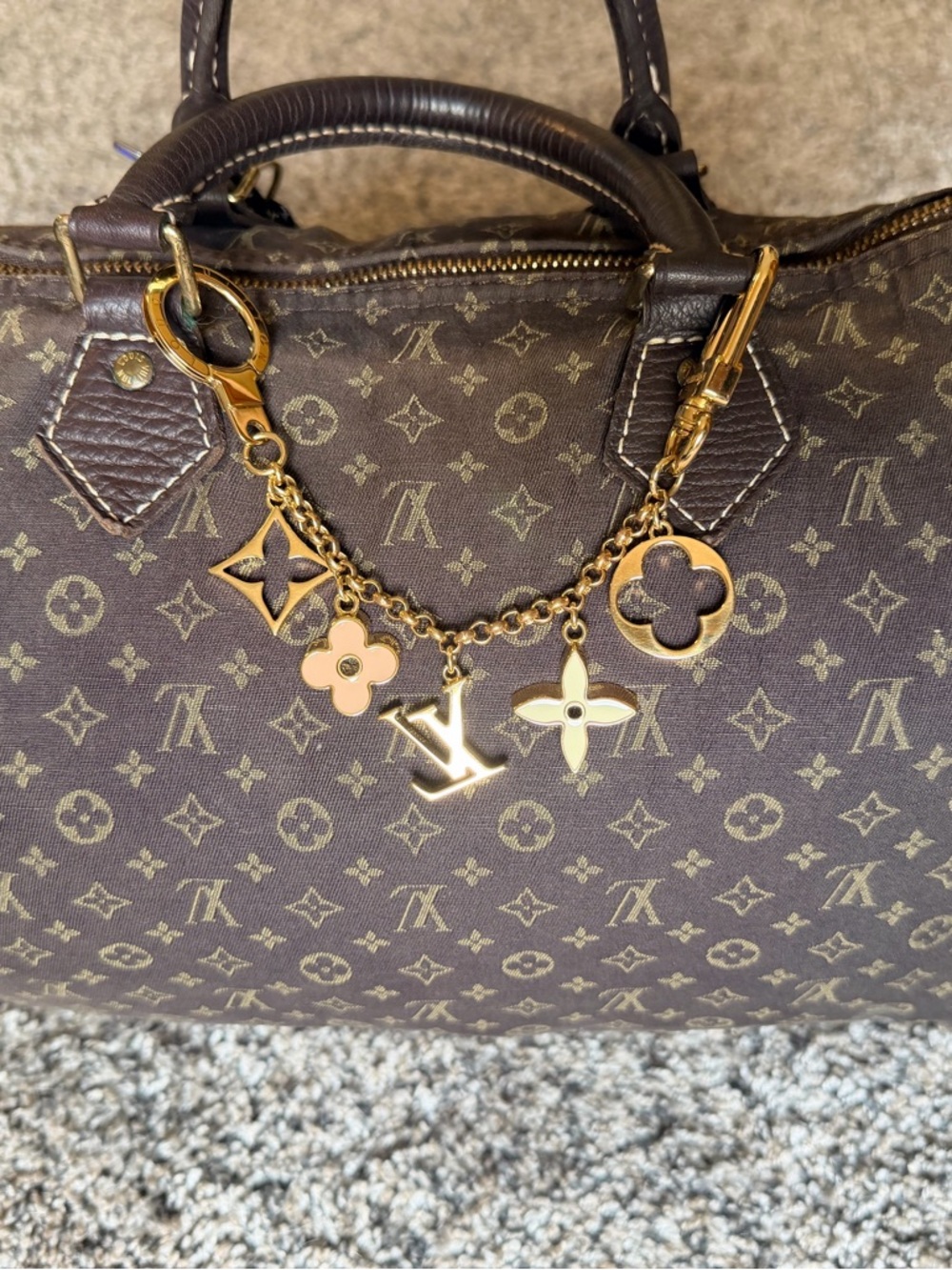 Louis Vuitton Brown and Gold Interior Snap Detail